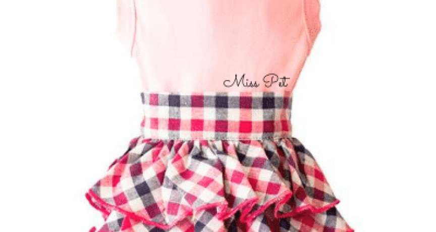 Miss pet Miss pet