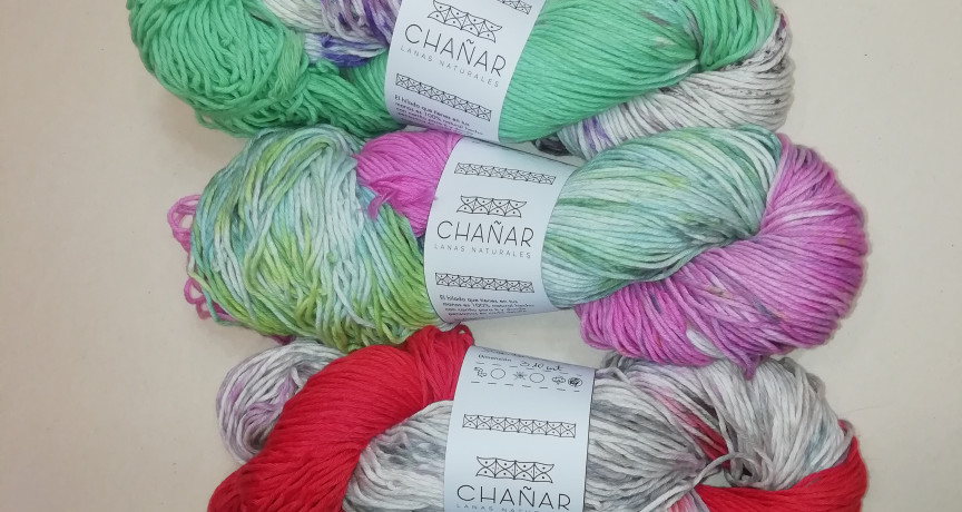 Chañar Chañar