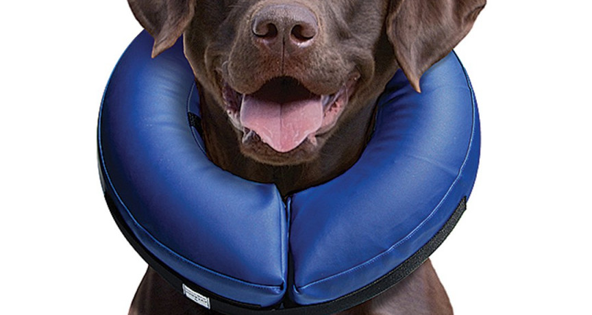 Pedro's emporio outdoor accesorios outdoor para mascotas Pedro's emporio outdoor accesorios outdoor para mascotas