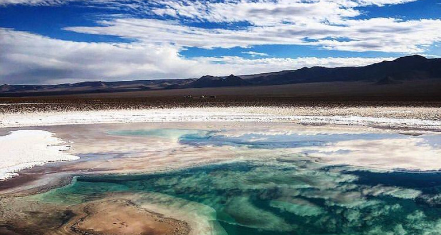 Huellas del desierto