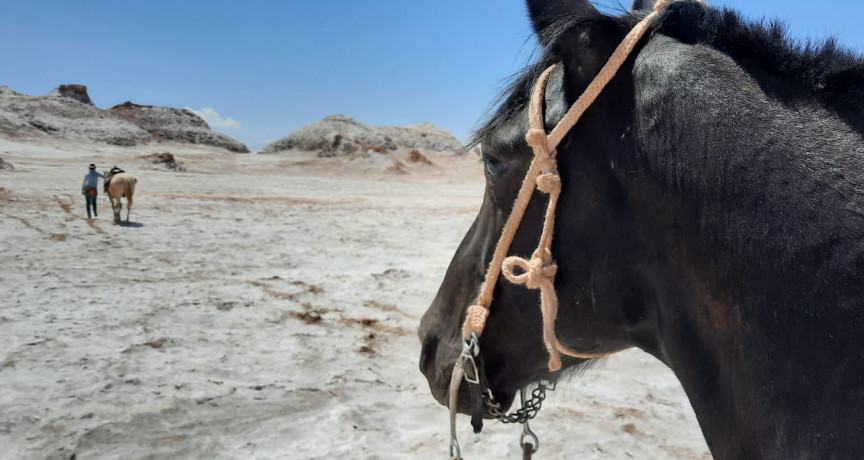 Atacama horse adventure  lodge