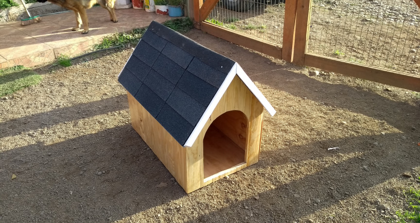 Pet house temuco Pet house temuco