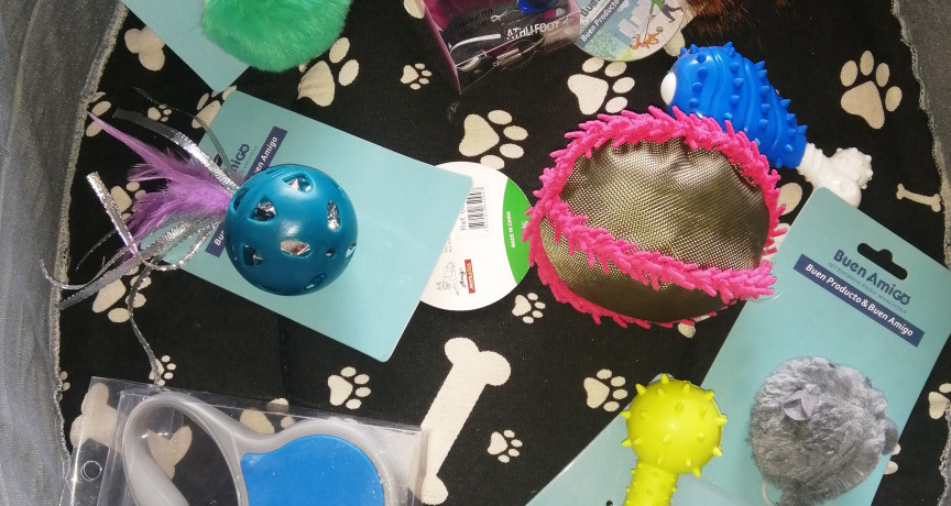 D'perro pet shop renca D'perro pet shop renca