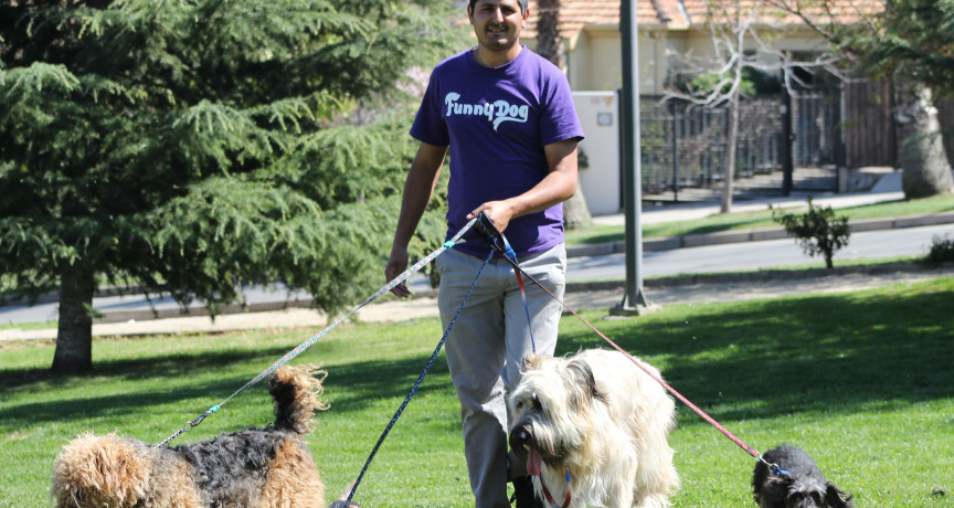 Funnydog ltda Funnydog ltda