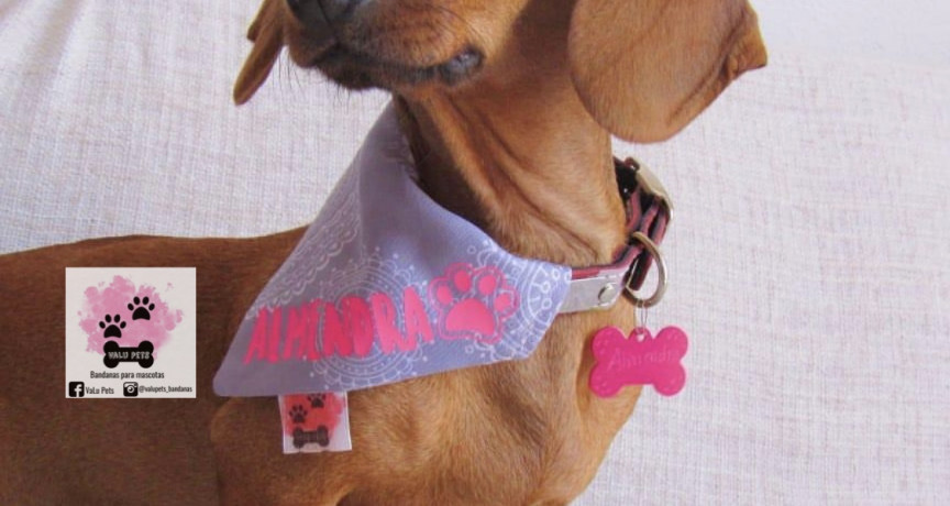 Valu pets bandanas Valu pets bandanas