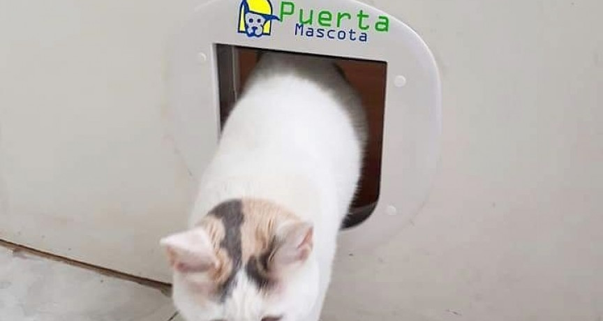 Puertamascota Puertamascota