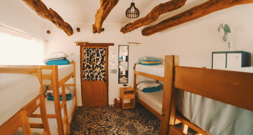 Rey lagarto hostel Rey lagarto hostel
